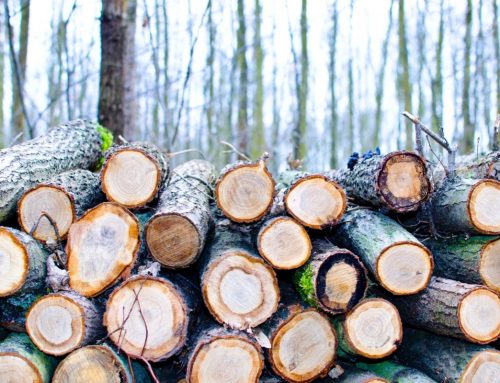 Notice from the FLEGT stand Office about the 7th meeting of the Core Group