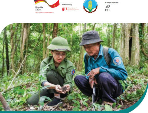 Situation analysis of gender and forestry in Viet Nam